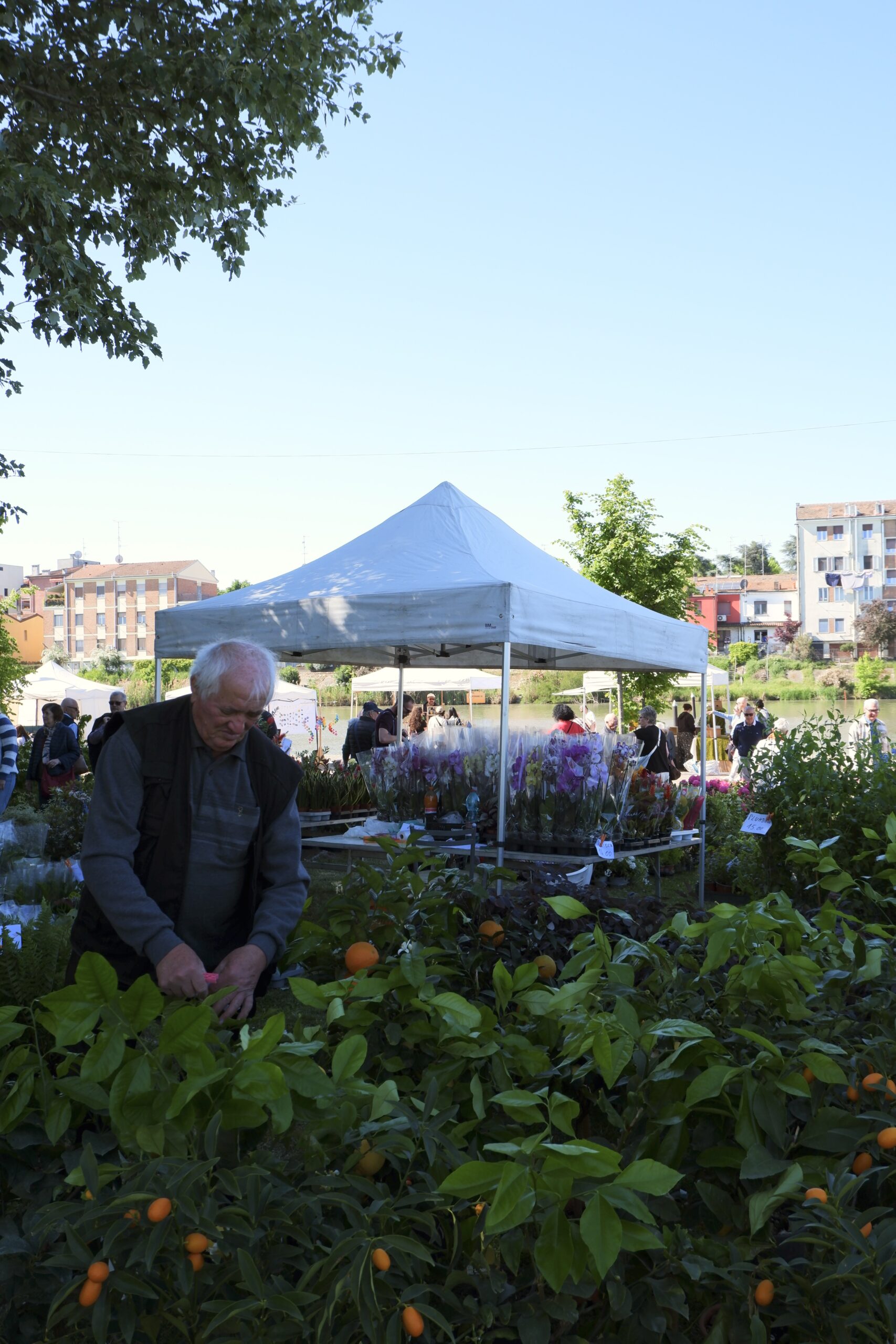 festival del verde